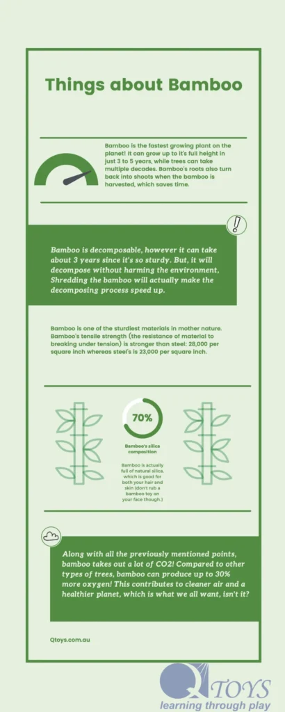 Things-about-Bamboo-scaled