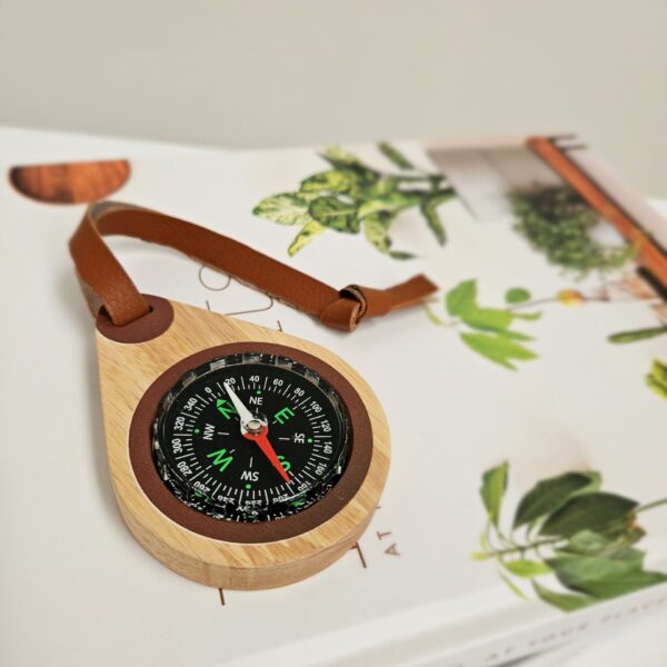 Wooden compass